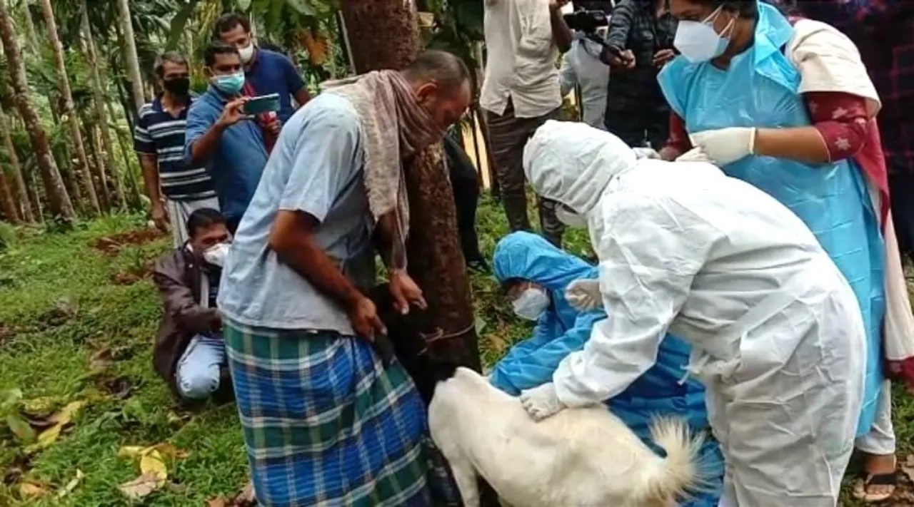 നിപ: എട്ടു പേർക്ക് രോഗലക്ഷണം, 32 പേർ ഹൈ റിസ്ക് വിഭാഗത്തിൽ, സമ്പർക്കപ്പട്ടികയിൽ 251 പേർ