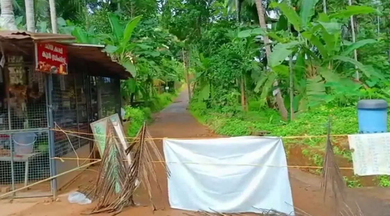 Nipah Virus, നിപ, Nipah Kozhikode, നിപ കോഴിക്കോട്, Nipah Symptoms, നിപ രോഗലക്ഷണങ്ങള്‍, Nipah Update, Nipah Symptoms, Nipah Latest News, Lipah Malayalam News, IE Malayalam, ഐഇ മലയാളം