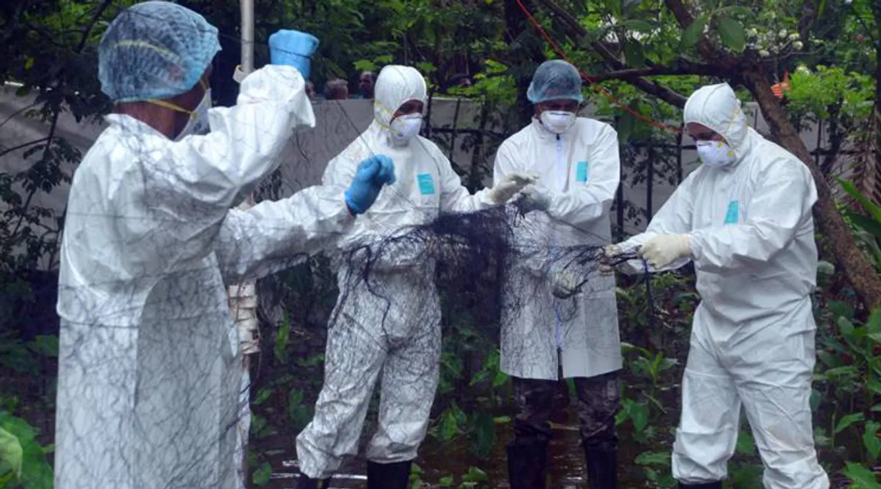 Nipah, Nipah Virus, Nipah in Kozhikode, Kozhikode, Kozhikode Nipah, Kerala Nipah, Nipah in Kerala, നിപാ വൈറസ്, കോഴിക്കോട്, നിപ, നിപാ, നിപാ കോഴിക്കോട്, malayalam news, kozhikode news, kerala news, ie malayalam