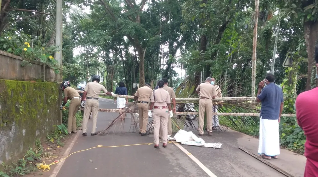 Nipah, Nipah Virus, Nipah Virus kozhikode, antibody dectects in bats, antibody dectects in bats samples kozhikode, NIV Pune Nipah, Nipah in Kozhikode, Kozhikode, Kozhikode Nipah, Kerala Nipah, Nipah in Kerala, നിപാ വൈറസ്, കോഴിക്കോട്, നിപ, നിപാ, നിപാ കോഴിക്കോട്, veena george, malayalam news, kozhikode news, kerala news, ie malayalam