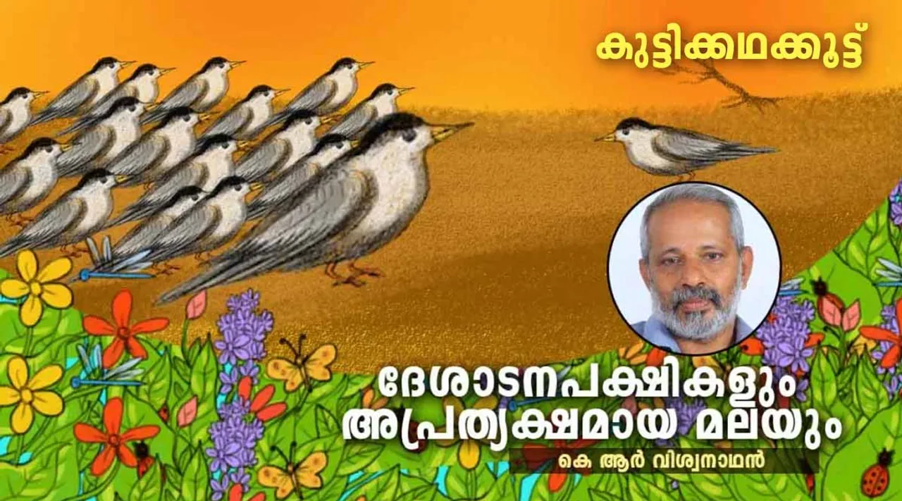 ദേശാടനപക്ഷികളും അപ്രത്യക്ഷമായ മലയും