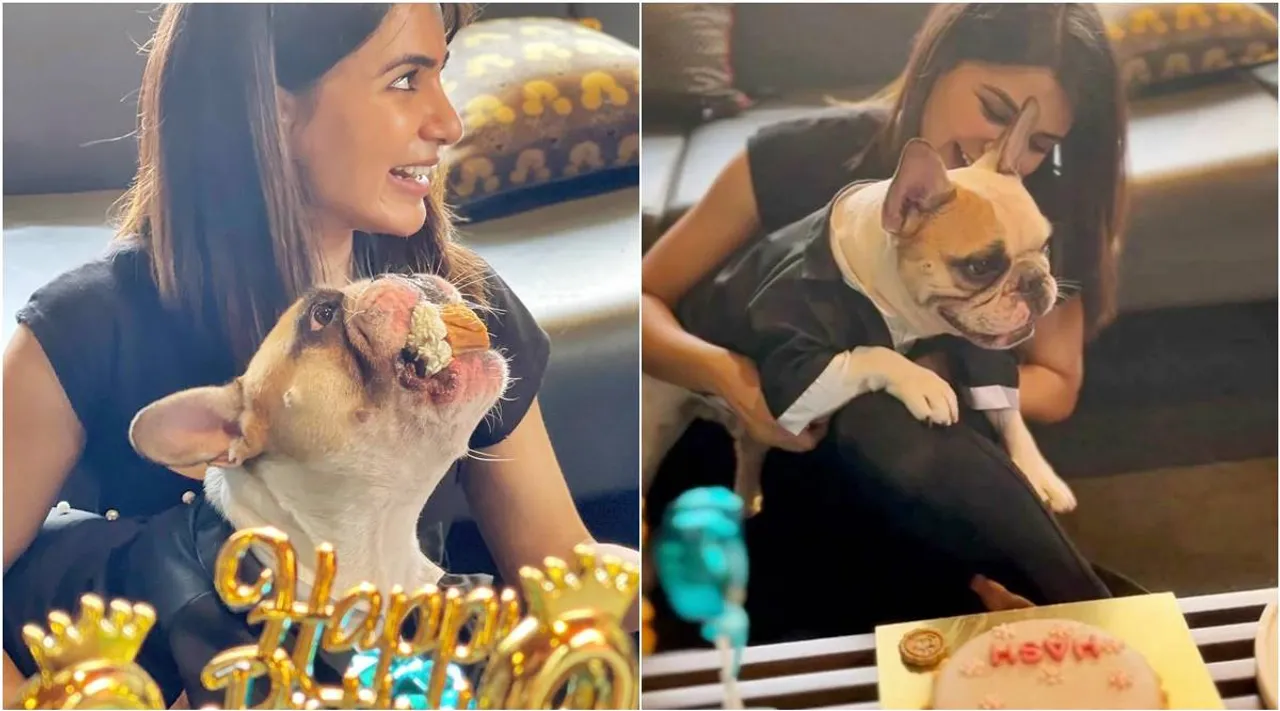 samantha, actress, ie malayalam
