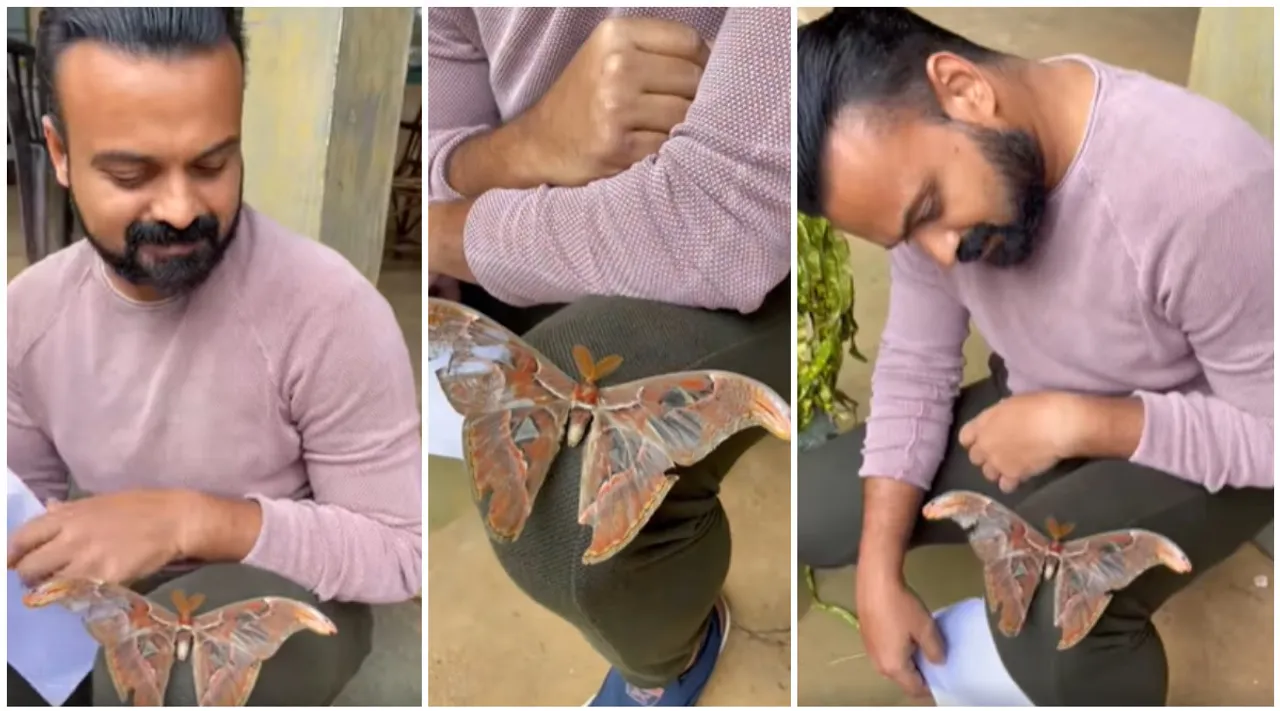 Kunchacko Boban, കുഞ്ചാക്കോ ബോബൻ, Bheemante Vazhi, ഭീമന്റെ വഴി, നാഗശലഭം, IE Malayalam