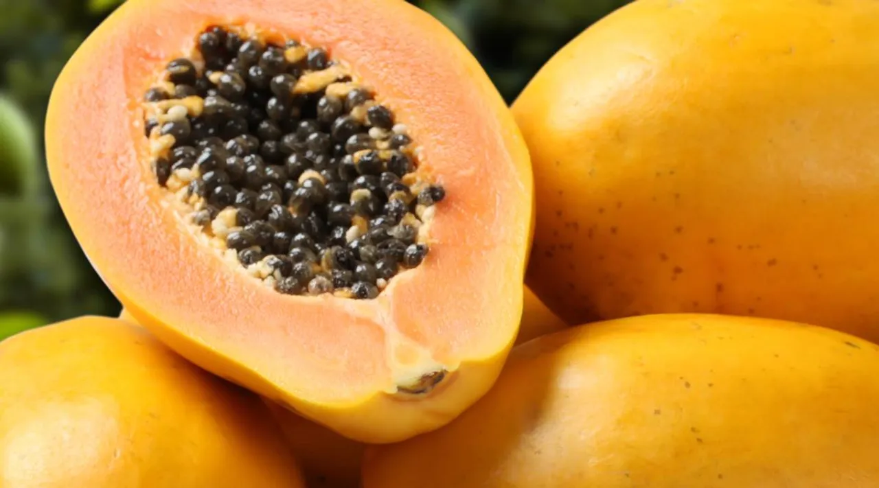 papaya, health, ie malayalam
