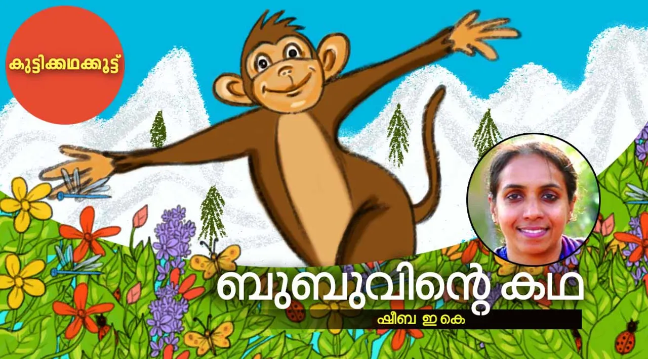 sheeba e k , story, iemalayalam