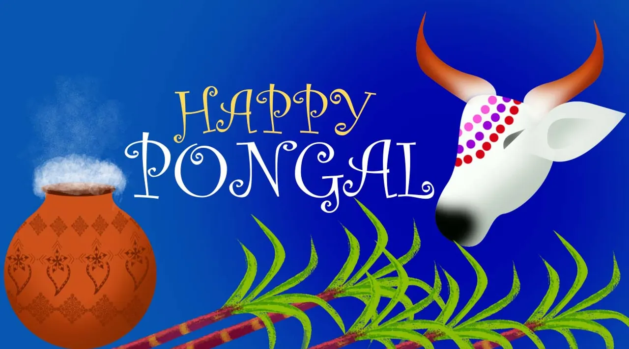 pongal, pongal wishes, ie malayalam