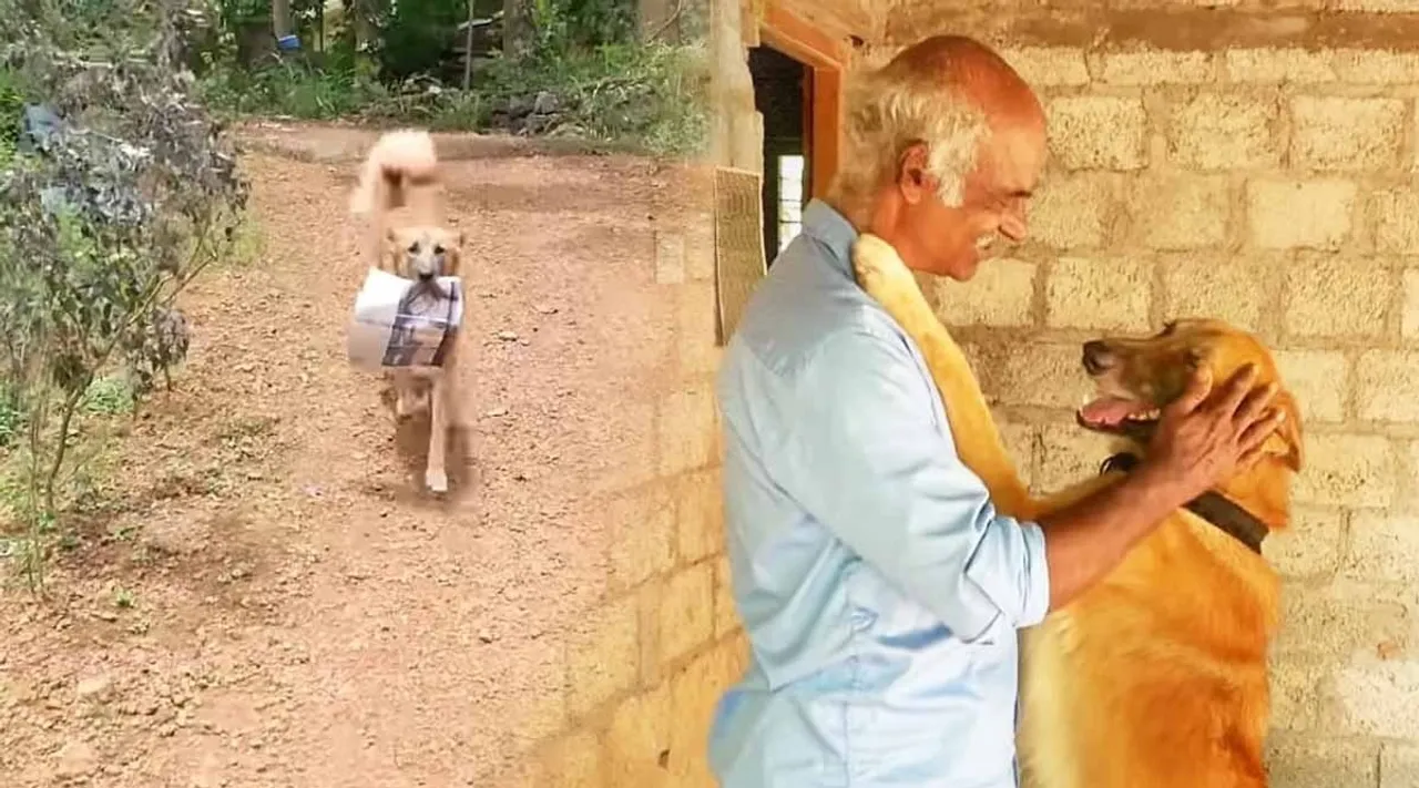 chottu, The Chottuz Vlog, chottu viral dog, chottu videos