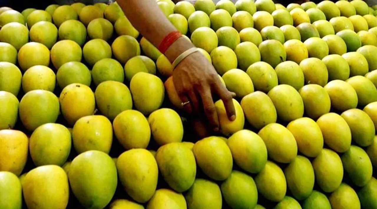 mangoes, health, ie malayalam