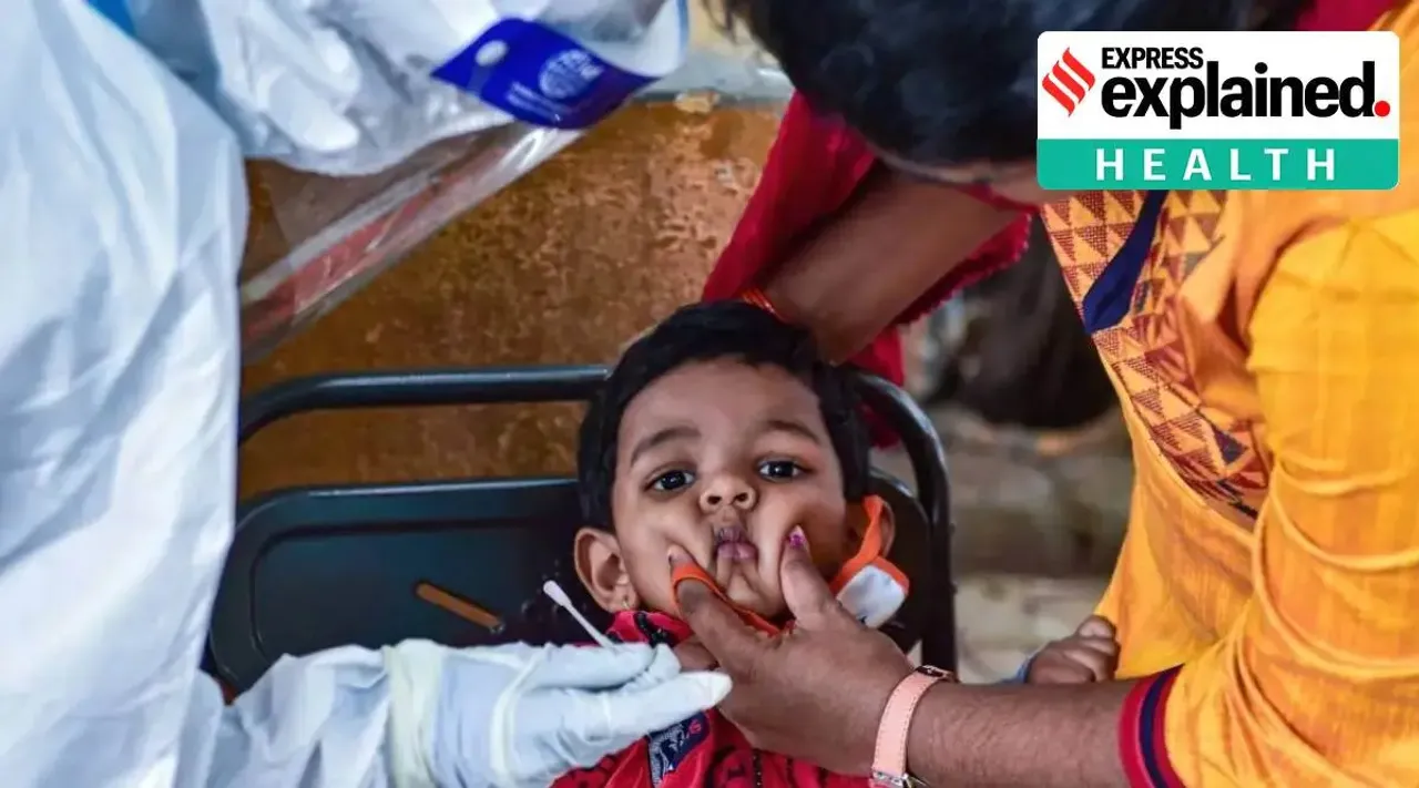 എന്താണ് തക്കാളിപ്പനി; ആരെയെല്ലാം ബാധിക്കും?