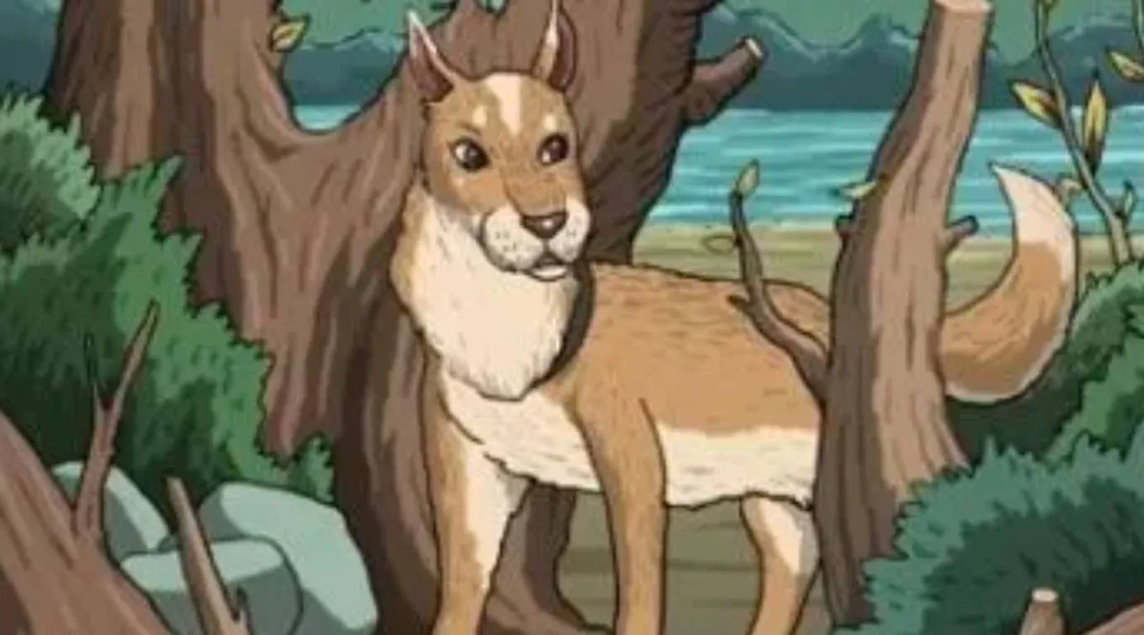 Optical Illusion, Viral Photo