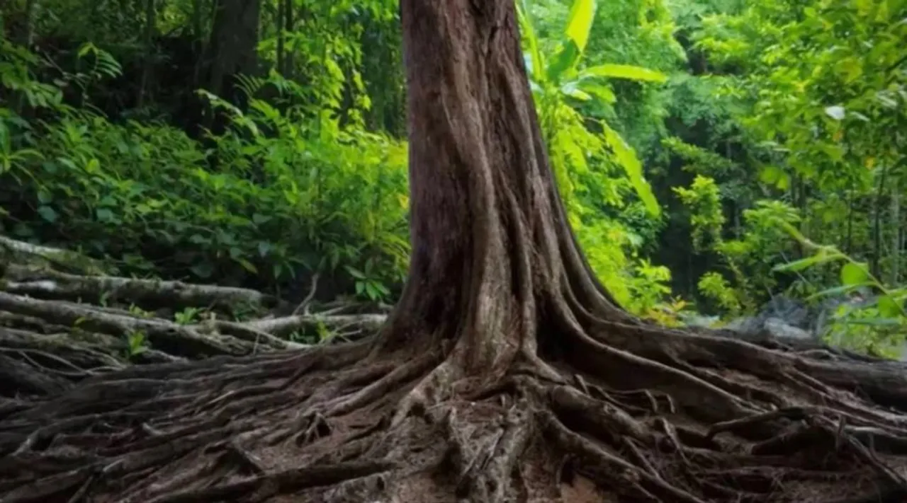 Optical illusion, Spot the snake 10 second challenge, Opt