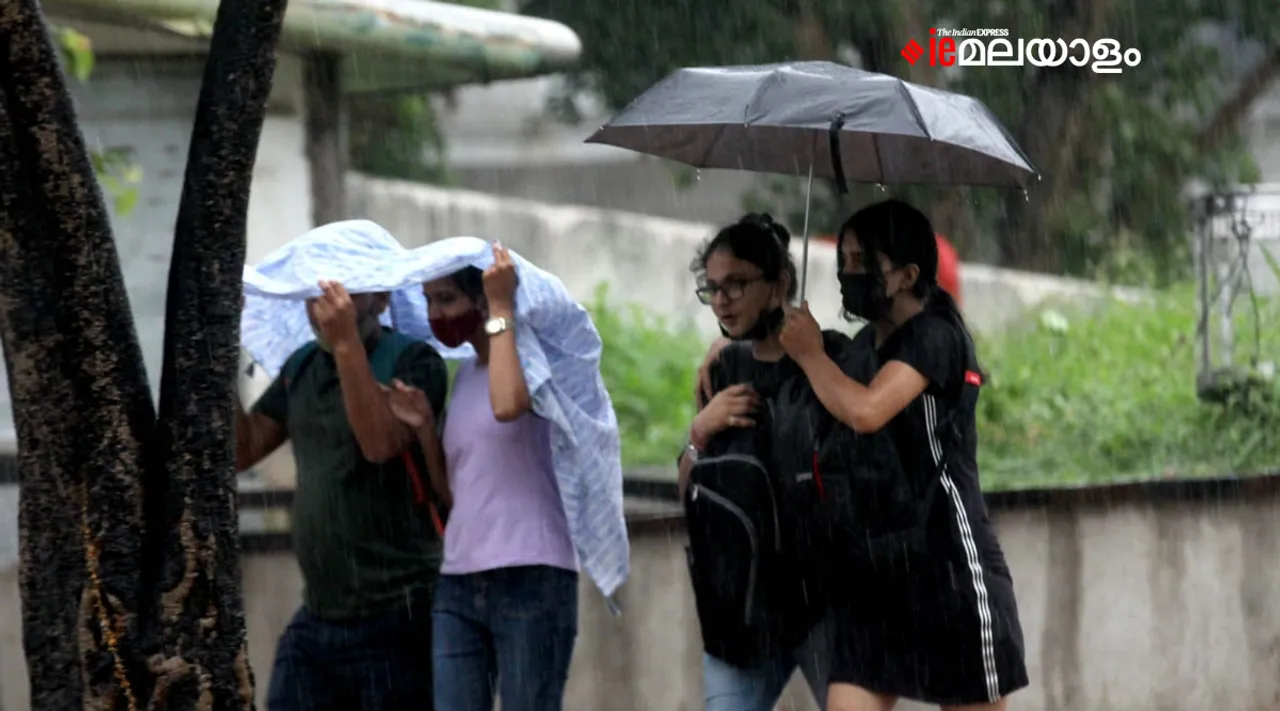 Rain , Monsoon, Umbrella, മഴ , Iemalayalam