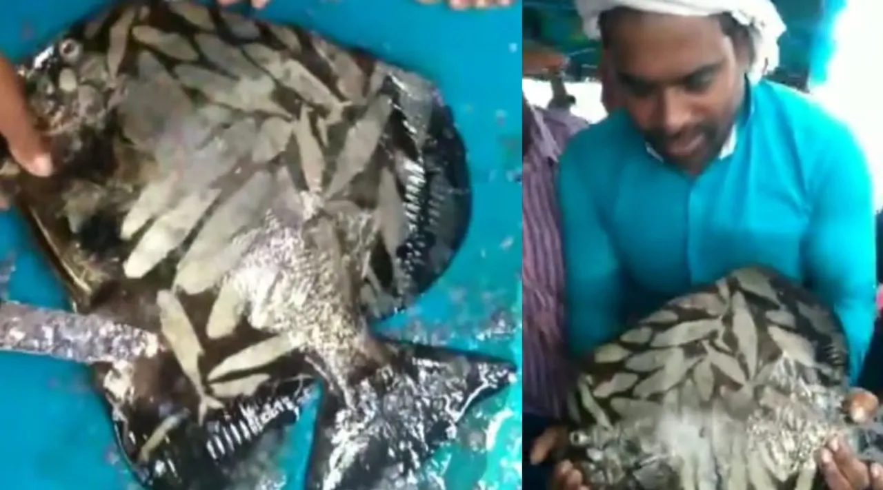 Payanthi Fish, viral Video