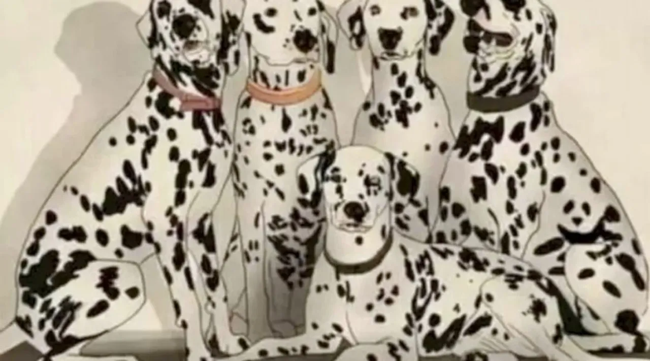 Optical illusion, Spot the Panda, Optical illusion viral picture