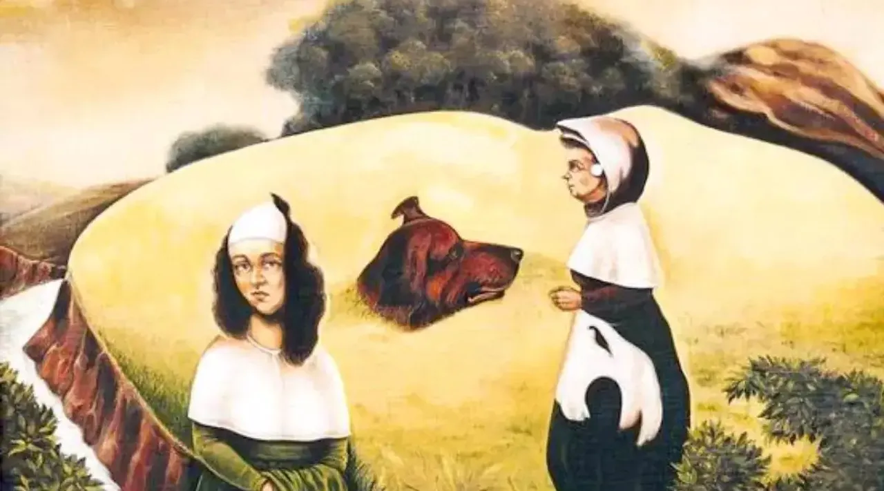 Test optical illusion, Test your IQ, Test your observation skill