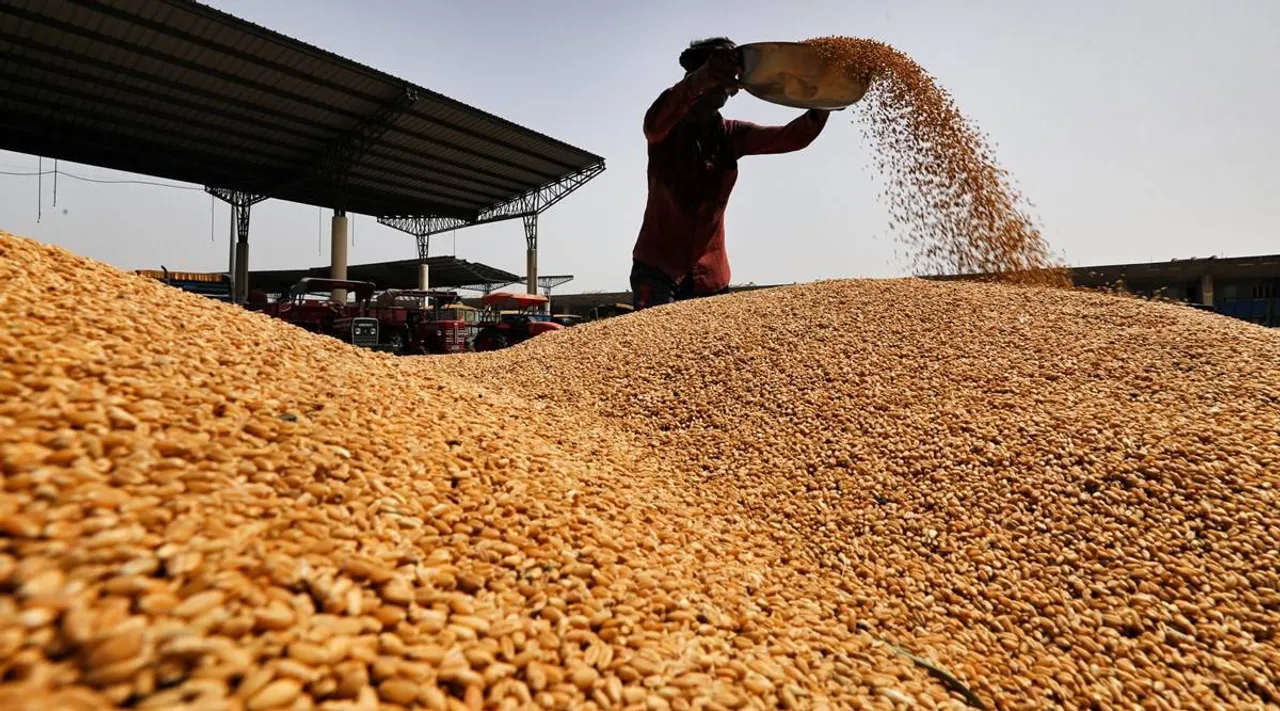 Wheat Production