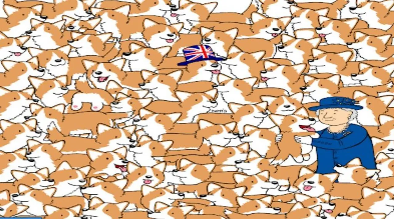 Optical illusion game, Spot the hidden breads, viral Optical Illusion