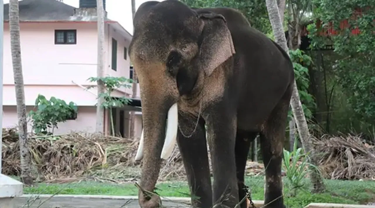 Thechikottukav Ramachandran, Kerala High Court, Procession ban