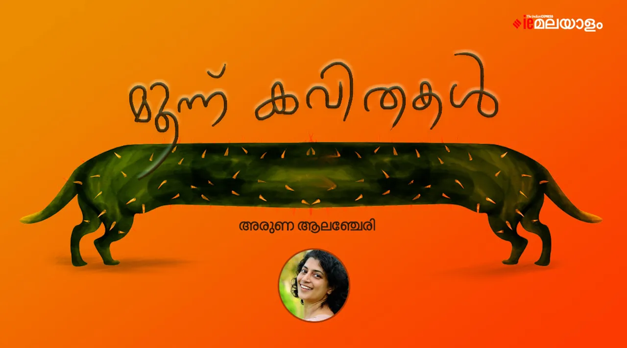 aruna alanchery, poem, iemalayalam