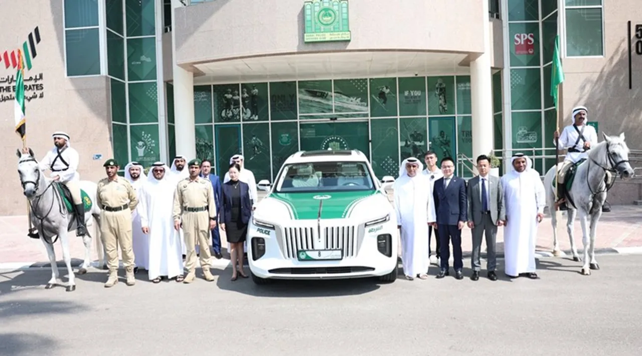 Dubai police, criminal cases, UAE
