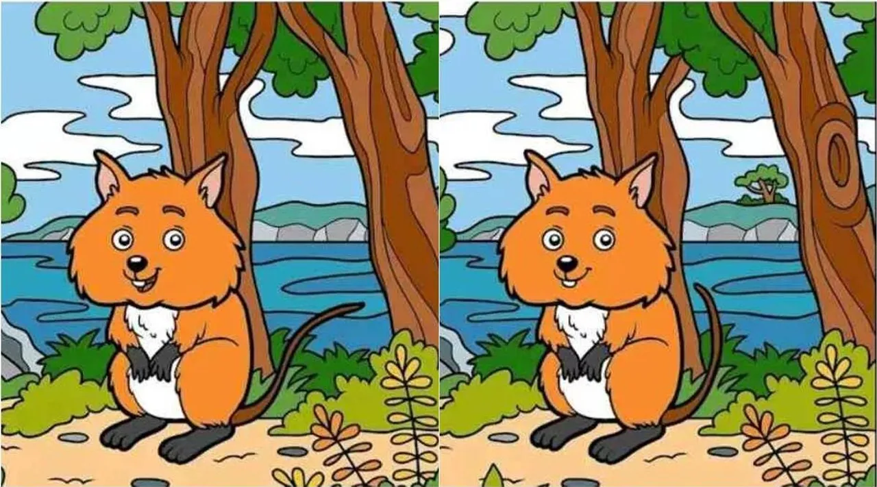 Spot the differences, Spot the differences game, Spot the differences puzzle, Optical illusion game Optical