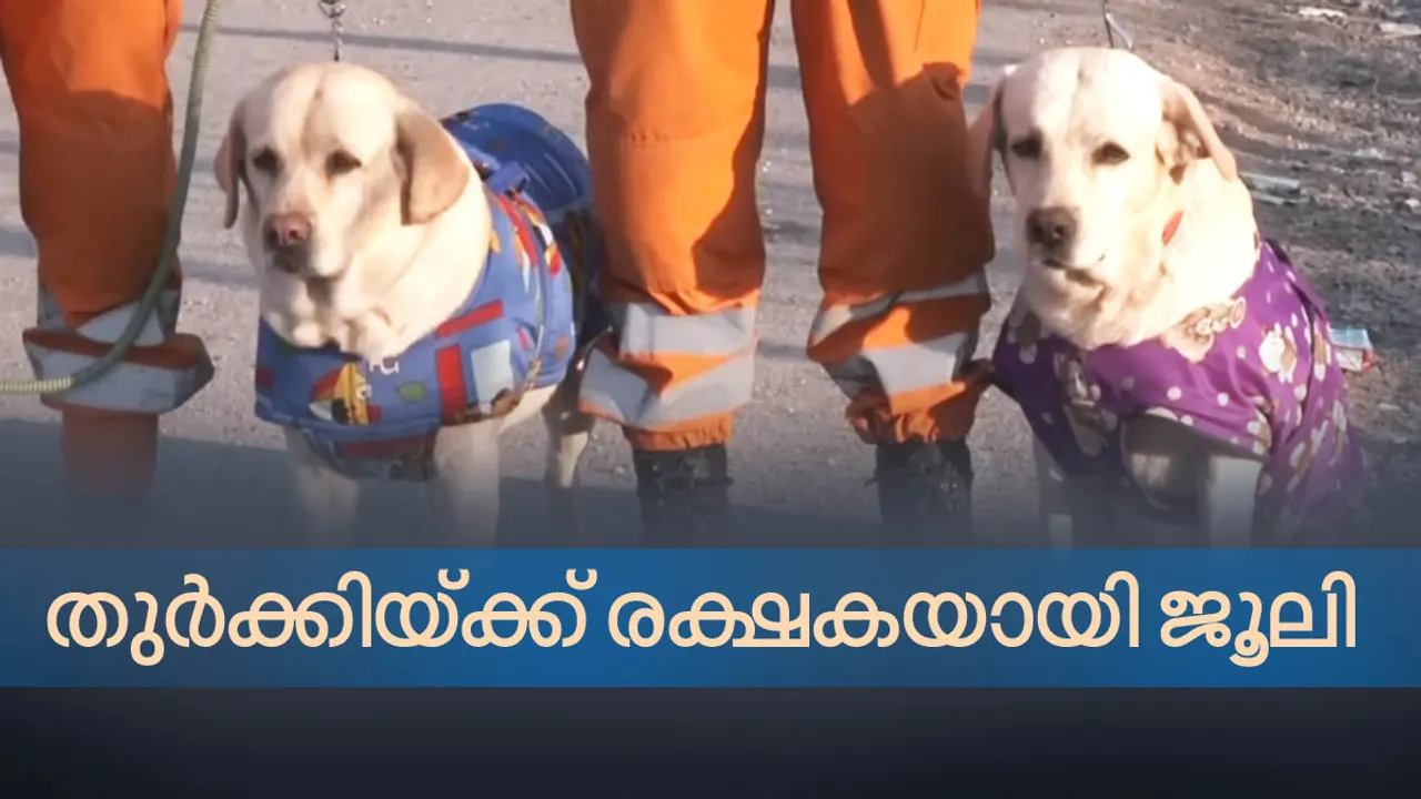 earthquake-hit Turkey, earthquake in Turkey, rescue in earthquake-hit Turkey, NDRF team in earthquake-hit Turkey, Julie, Dog squad in earthquake-hit Turkey,india, ie malayalam