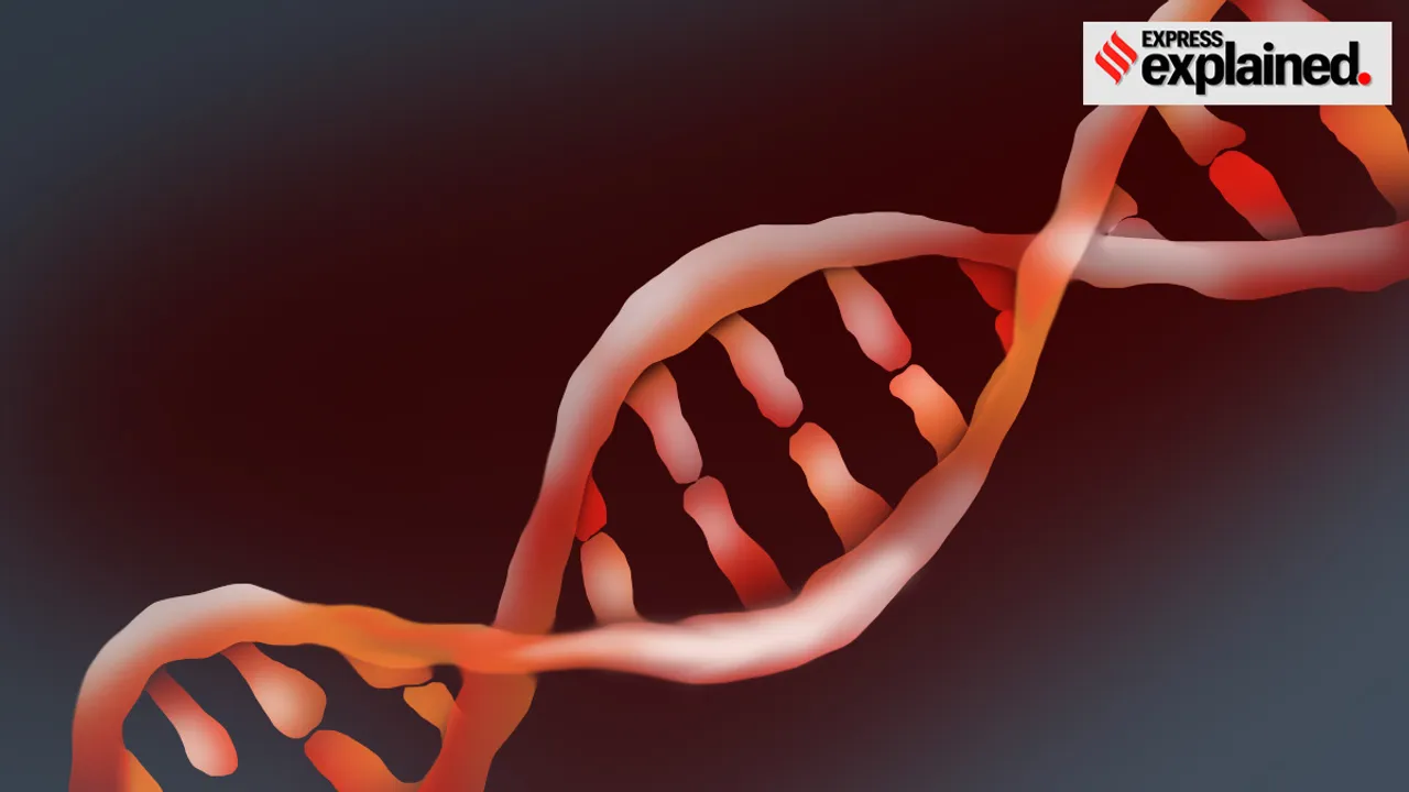 HIV, AIDS, cure, HIV AIDS, Dussledorf patient, genetic mutation, bone marrow transplant,hiv cured, hiv patients,ie malayalam