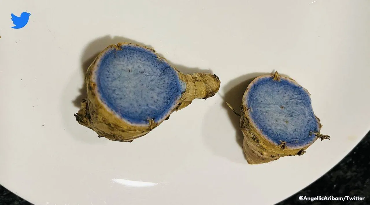 blue-ginger