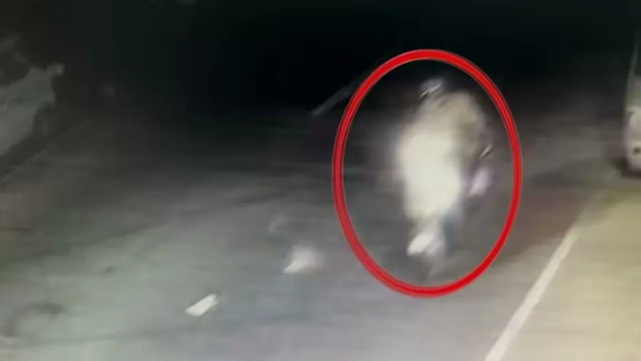 cctv, attack, ie malayalam