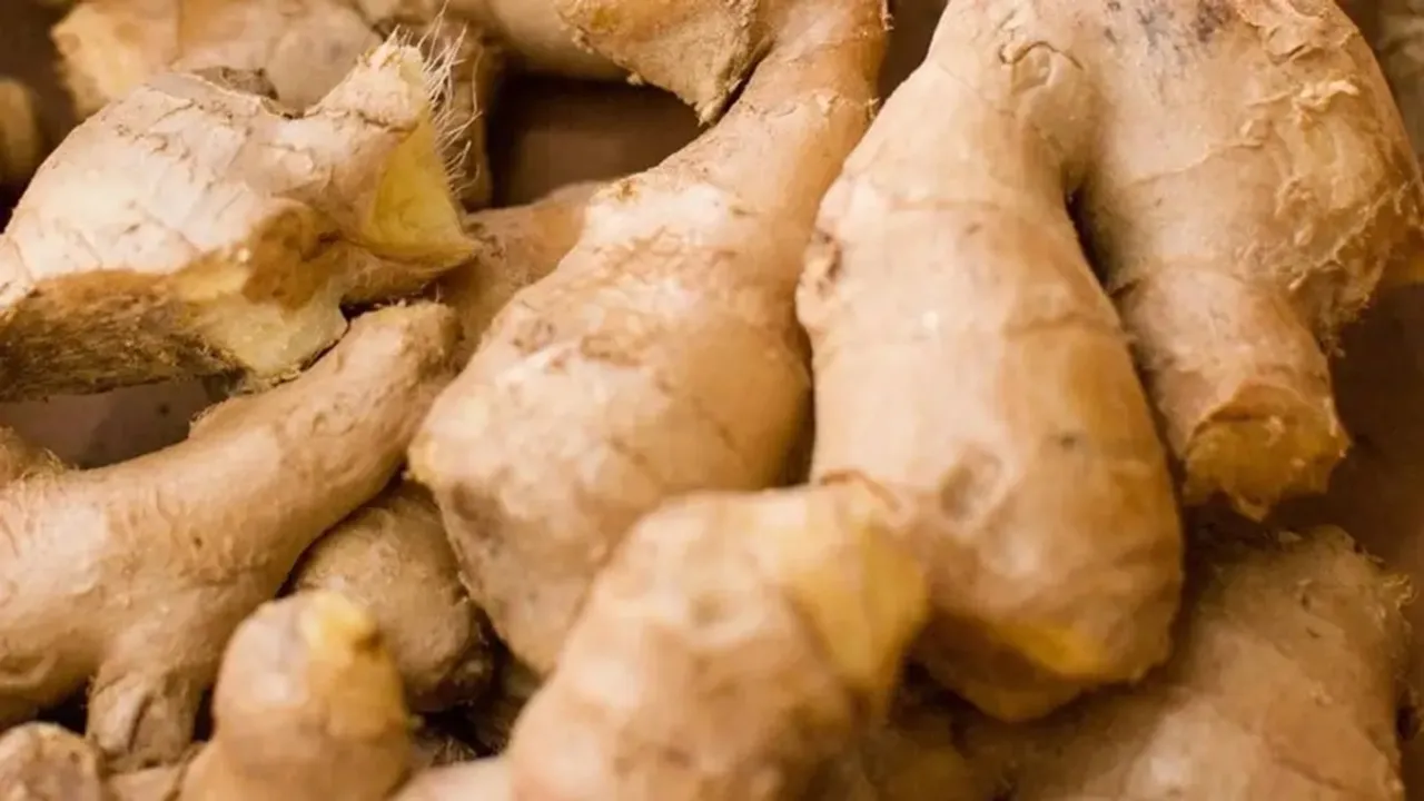 ginger, health, ie malayalam