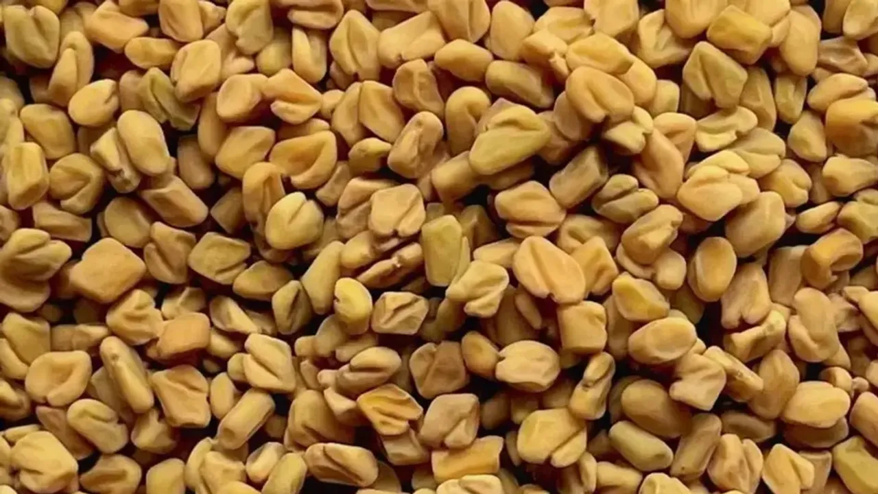 fenugreek seeds , health, ie malayalam