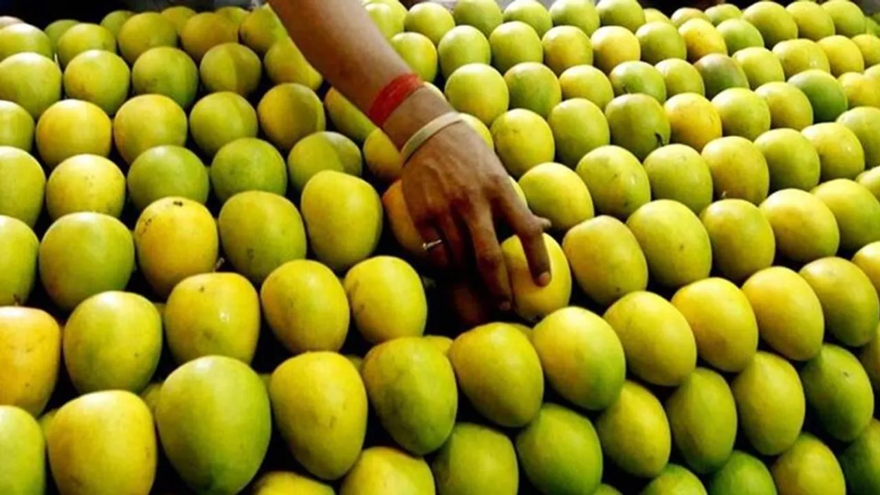 mangoe, health, ie malayalam