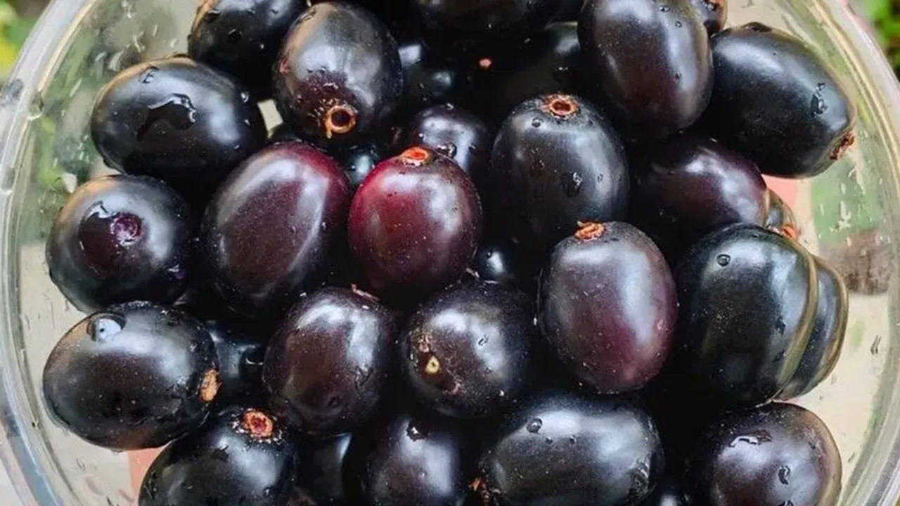 Jamun|health|ie malayalam| health|health tips