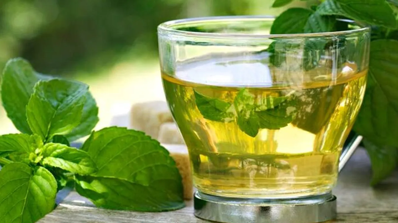 Black tea|green tea|health|lifestyle|tea