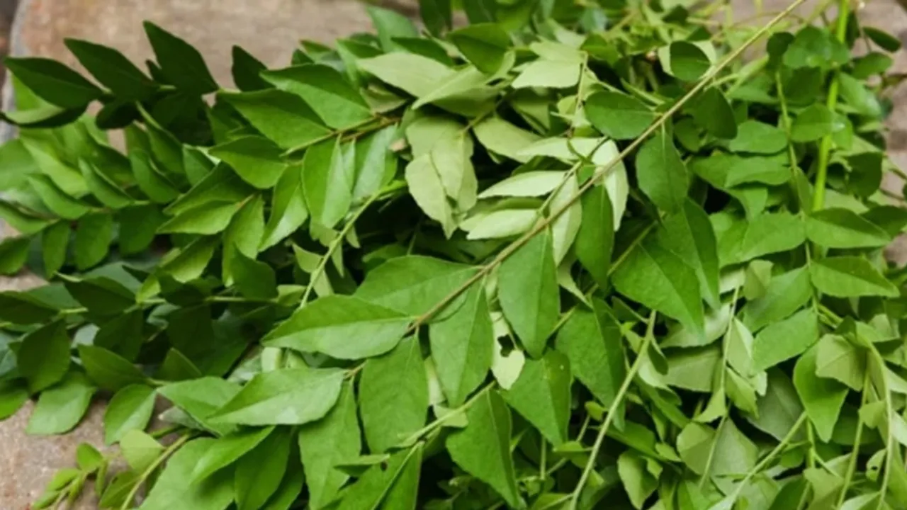 മുടി വളരാൻ നെല്ലിക്ക കഴിക്കേണ്ടതെങ്ങനെ?