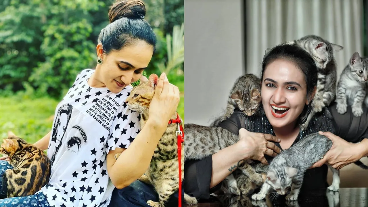 Anu Joseph | Anu Joseph new cat House video| Anu Joseph Home Tour| Bigg Boss Malayalam Season 5| അനു ജോസഫ്| ബിഗ് ബോസ് മലയാളം സീസൺ 5