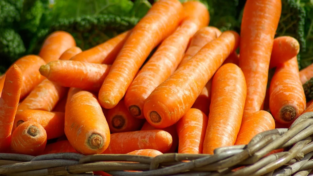 Carrot | Health | Health Tips