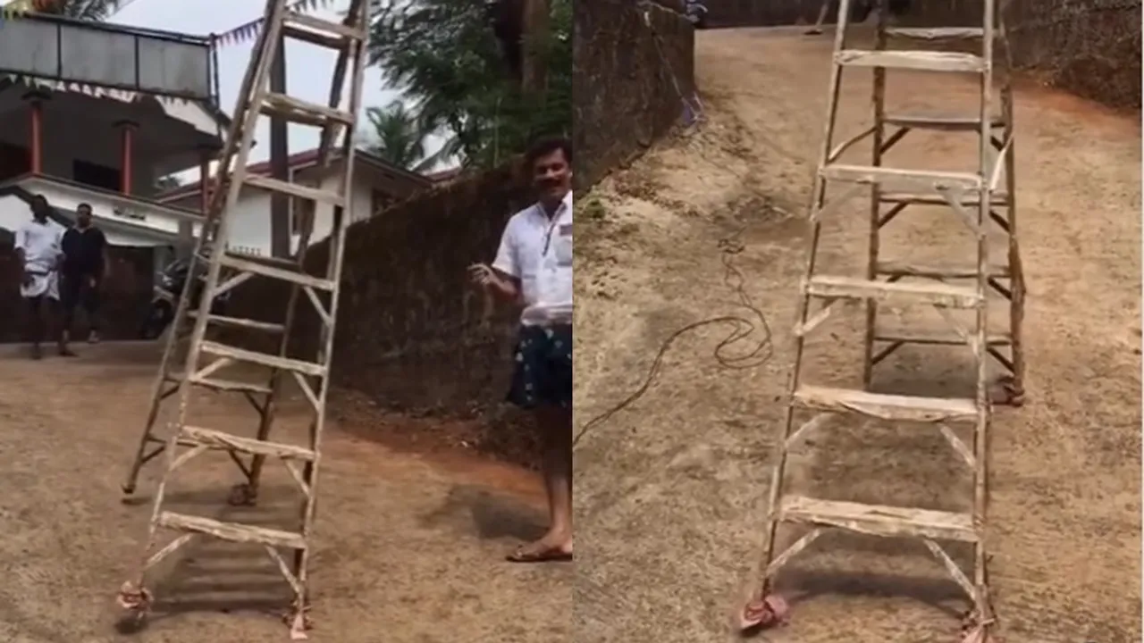 Ladder Walks Away by Itself video, Viral Video