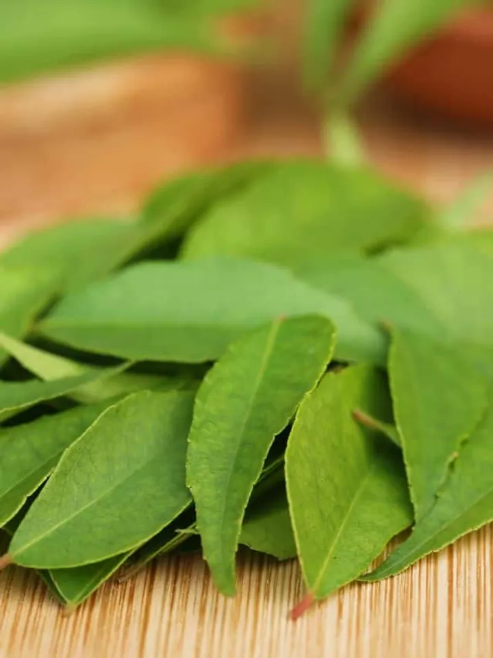 curry leaves