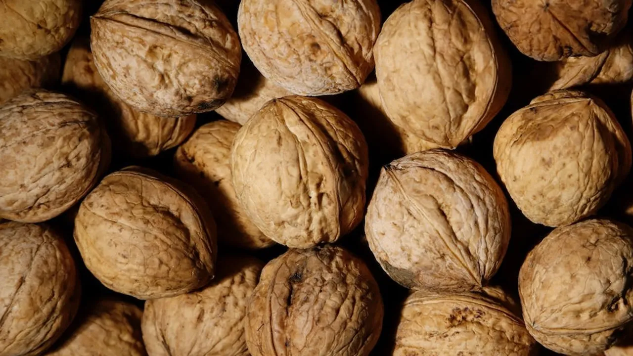 walnut|dry fruit|health| food