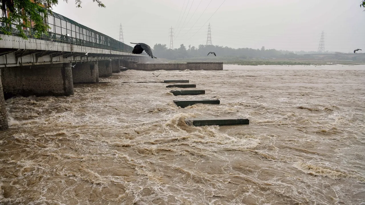 Yamuna river| Hathnikund Barrage