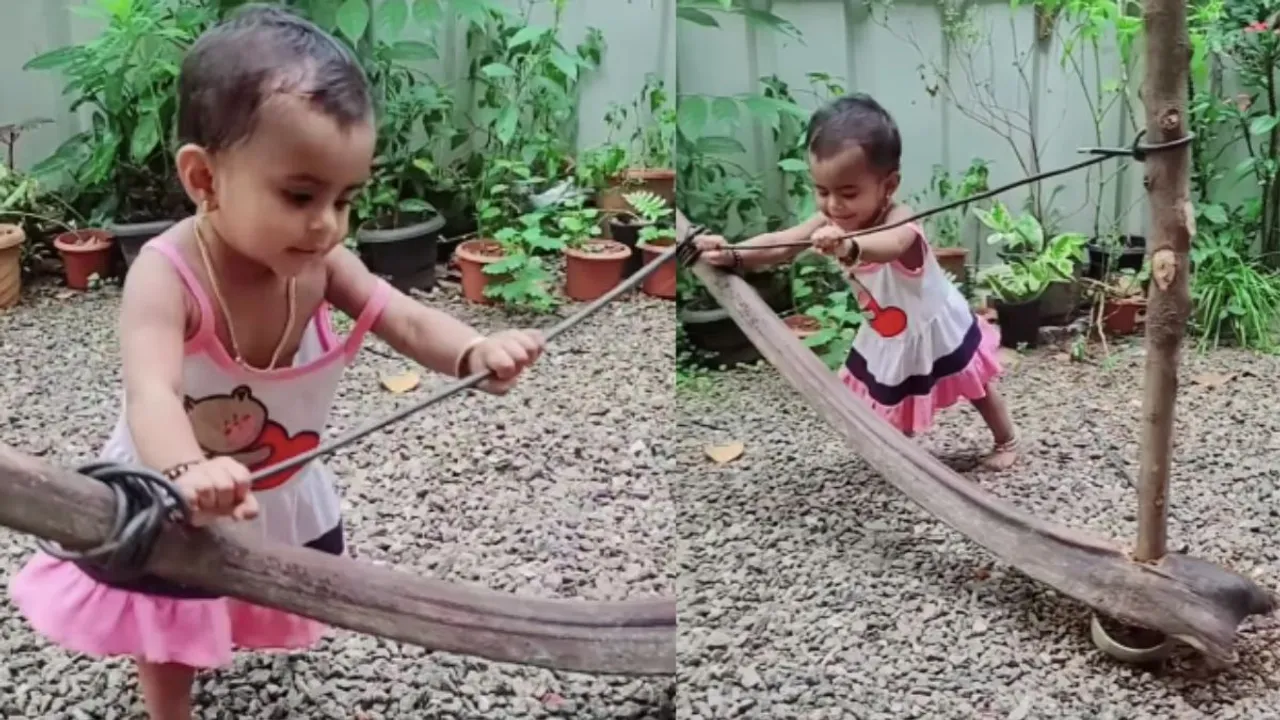 viral video|social|videos