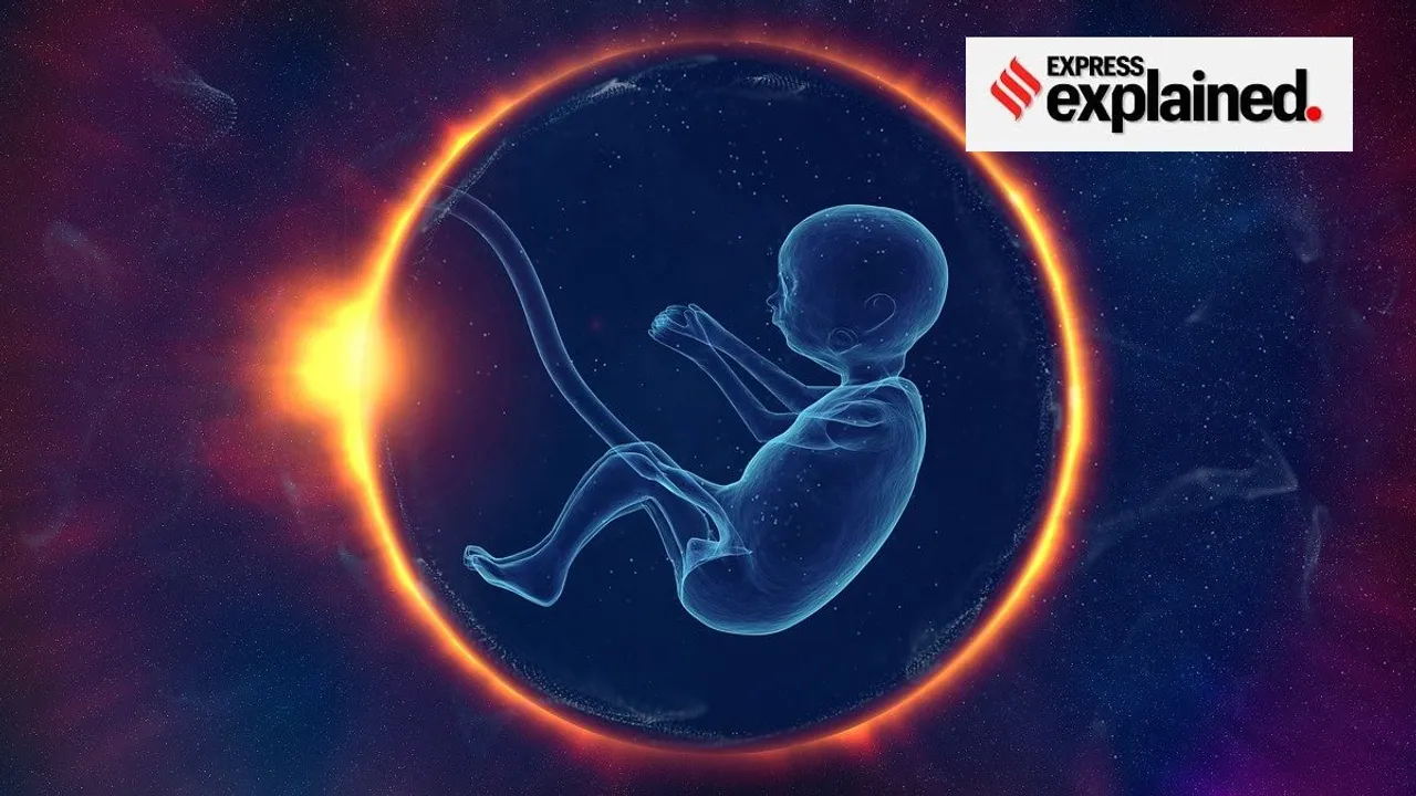 embryo|scientists|explained