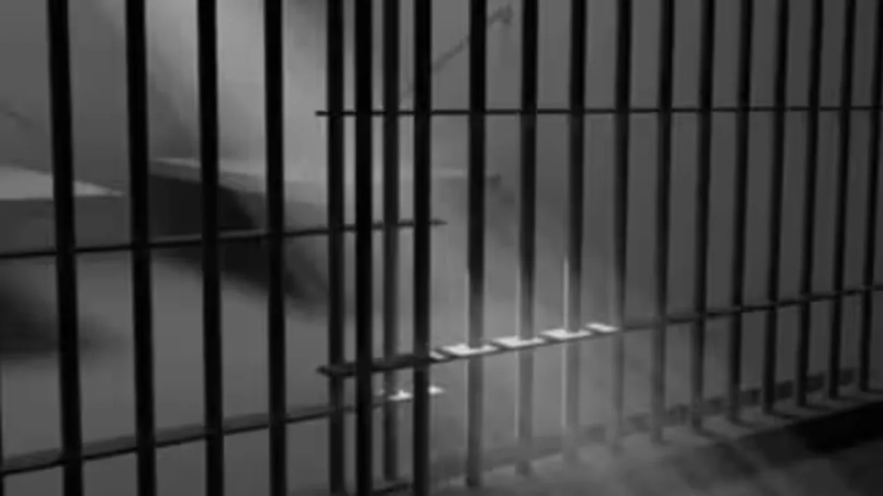 Gujarat law panel| crime| custodial deaths
