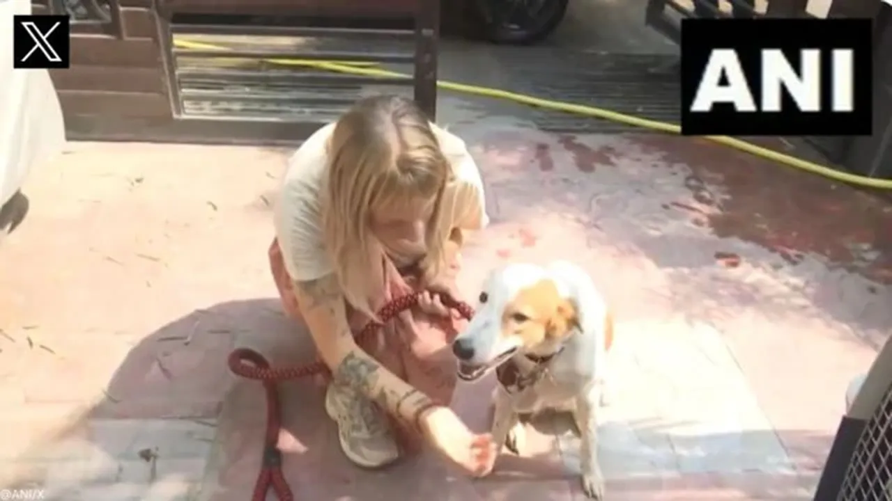 The street dog named Jaya will be travelling with the woman to the Netherlands | Viral Video