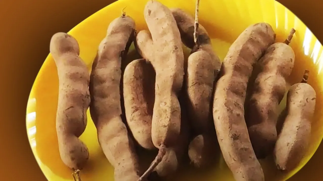 tamarind | imli | imli health benefits | imli nutrition profile