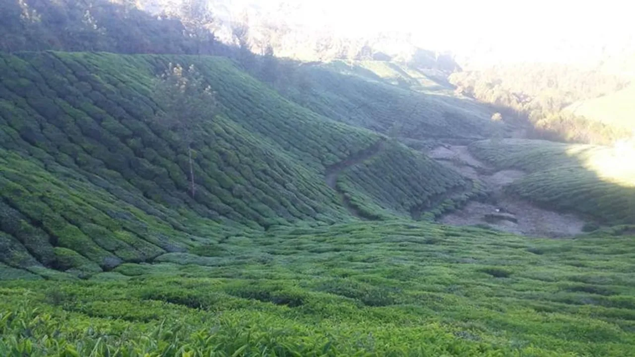 Munnar|KERALA|LDF