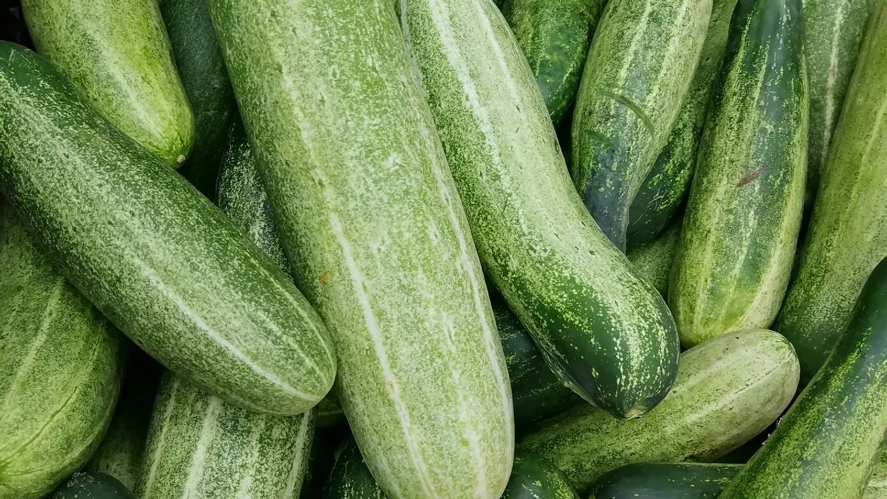 health