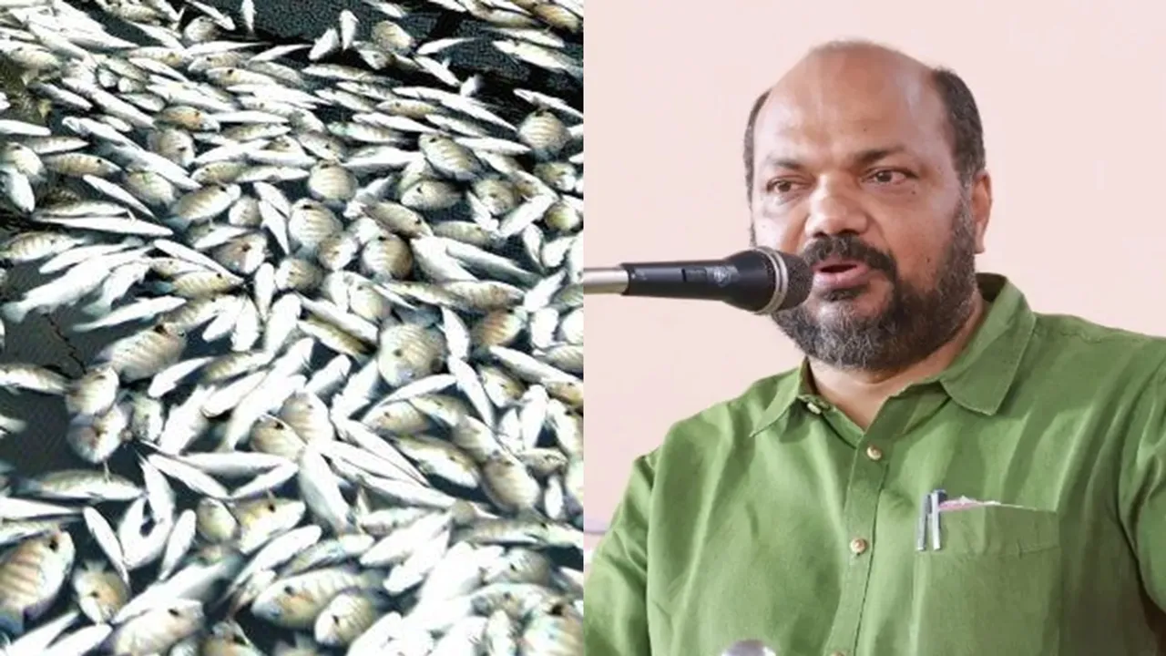 Periyar Fish Death, Minister P Rajeev