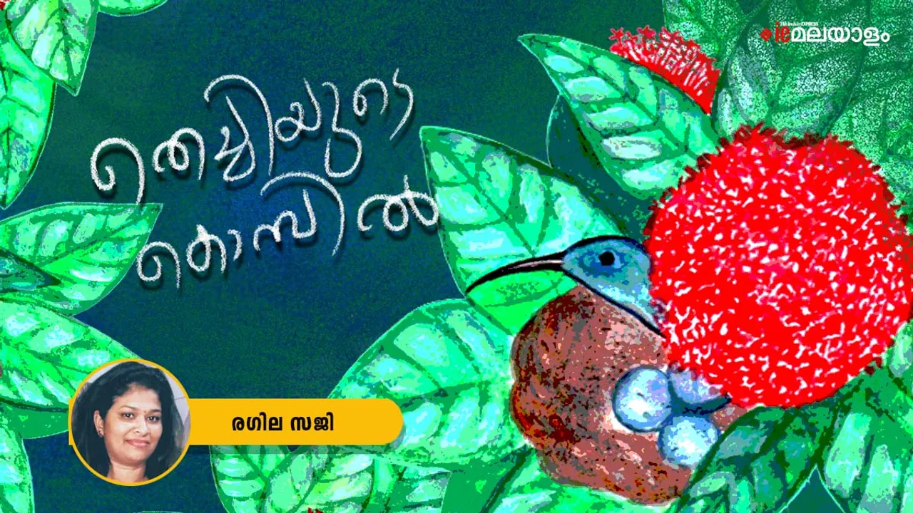 Ragila Saji |  Poem